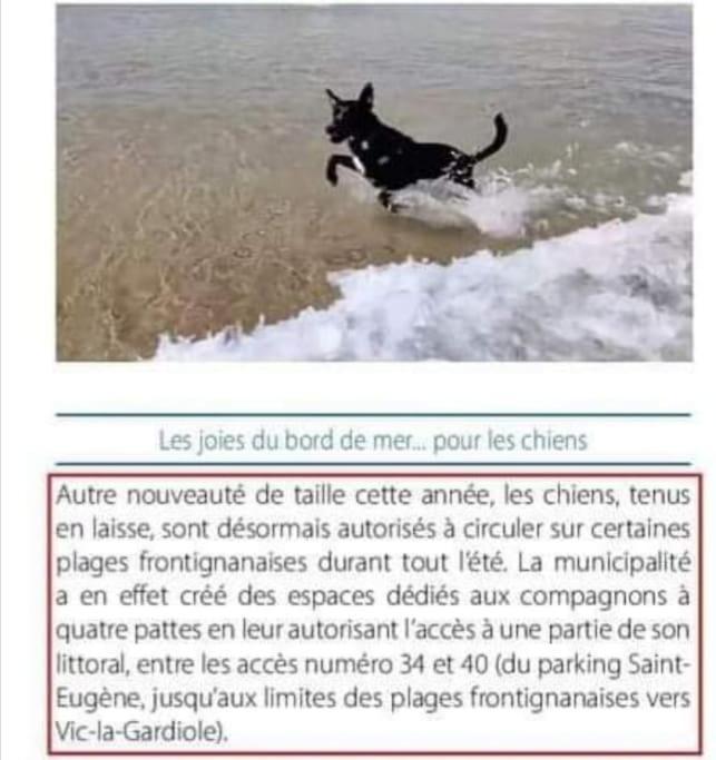 Appart 5P Terrasse Sud Vue Mer, Acces Direct Plage Frontignan Esterno foto